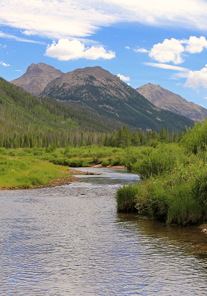 river with mountains in the distance